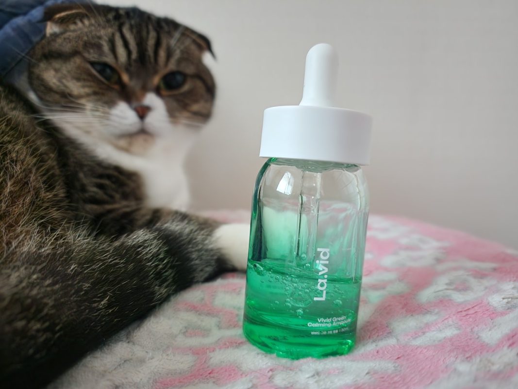 비비드 그린카밍앰플 후기!