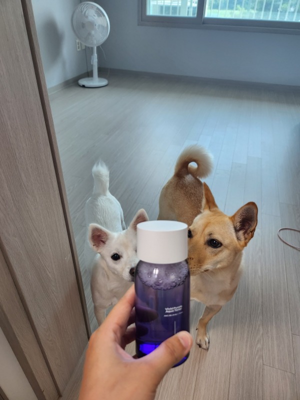 라비드 찐사용후기!!!