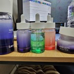 비비드 라인 5종 세트 [앰플 스파츌라 증정]